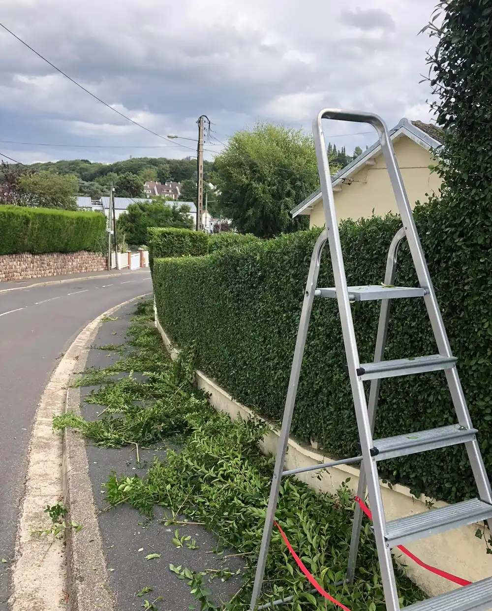 Haie taillée en bord de route, à l'emplacement d'une future clôture