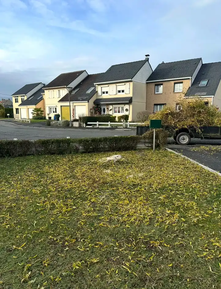 Pelouse ratissée en fin de chantier